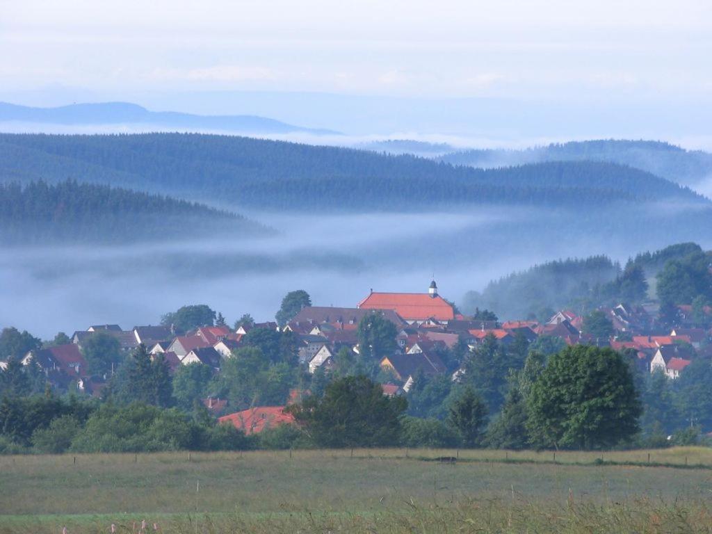 Wohnung Julius 7 Sankt Andreasberg Exteriör bild